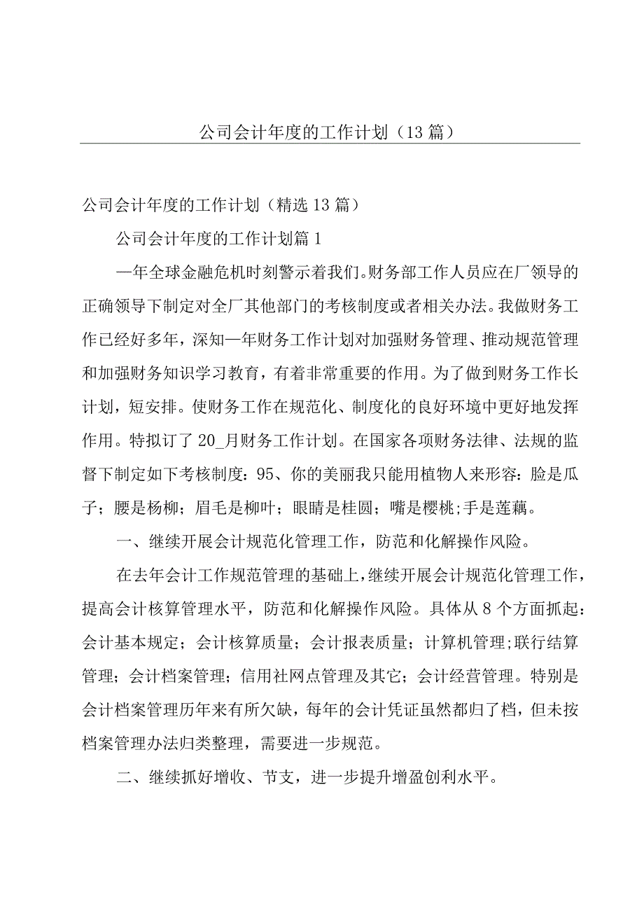 公司会计年度的工作计划13篇.docx_第1页