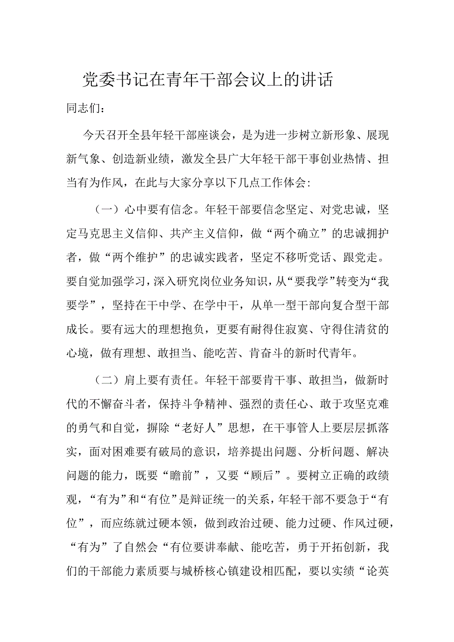 党委书记在青年干部会议上的讲话.docx_第1页