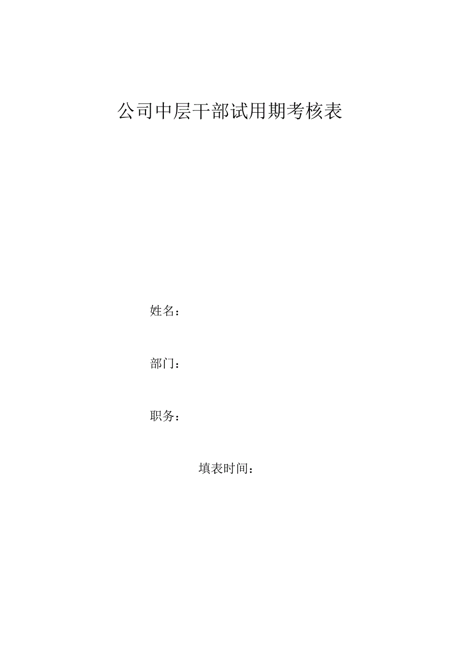 公司中层干部试用期考核表.docx_第1页