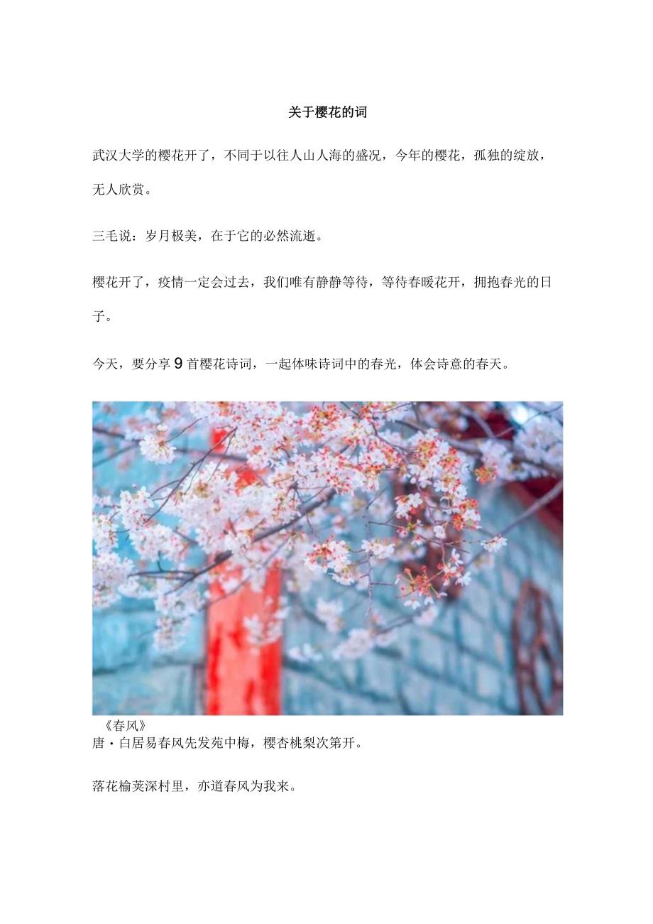 关于樱花的词.docx_第1页