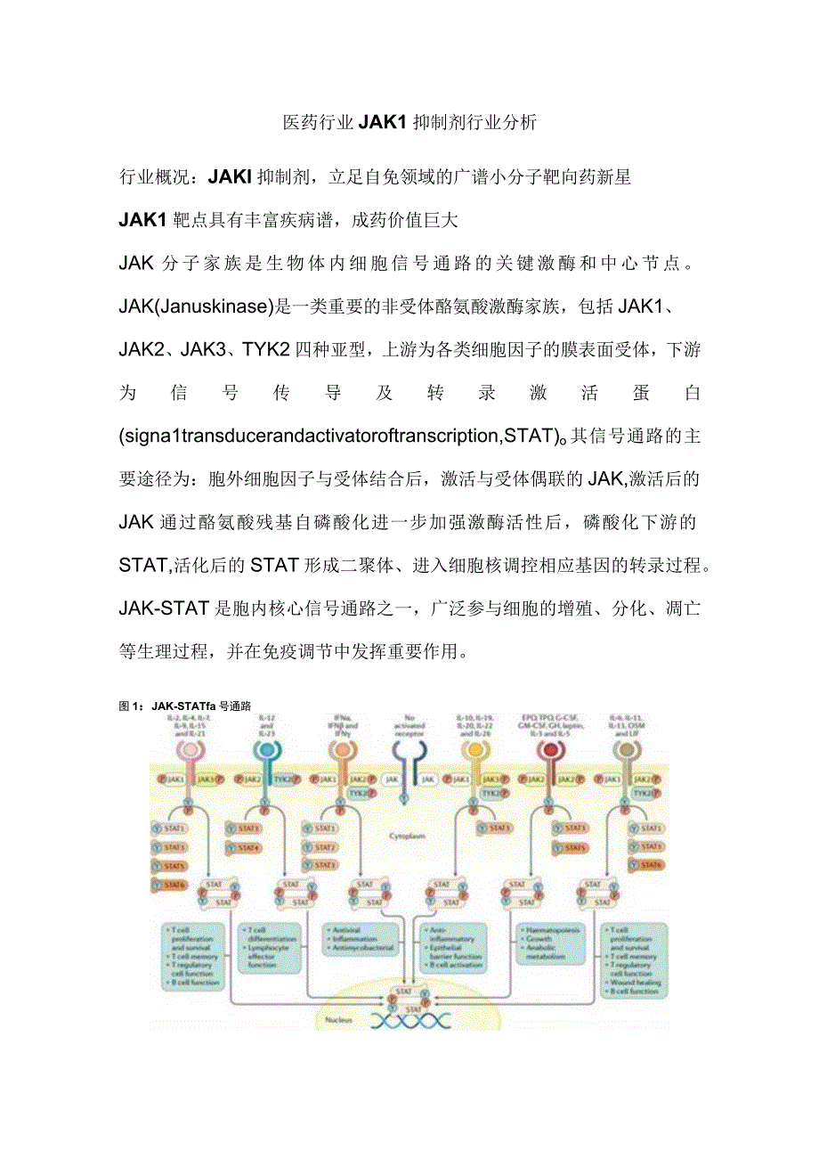 医药行业JAK1抑制剂行业分析.docx_第1页