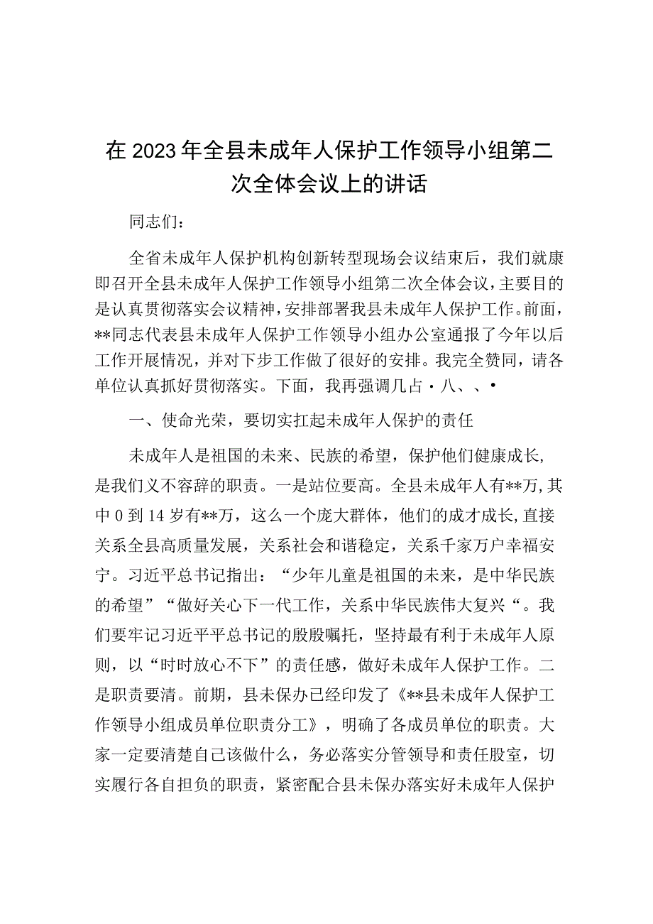 在2023年全县未成年人保护工作领导小组第二次全体会议上的讲话.docx_第1页