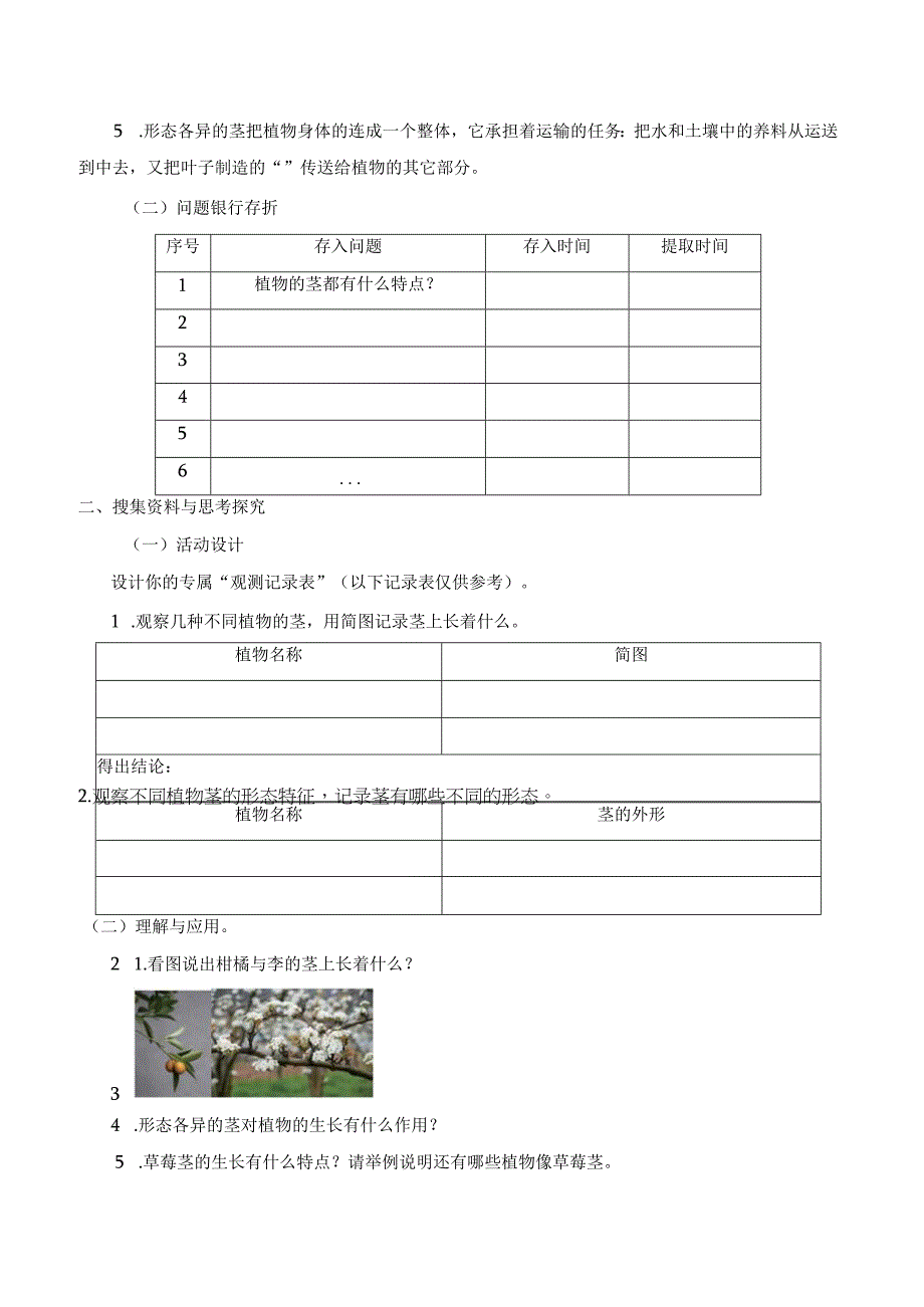 粤教版小学科学三下13：植物的茎导学案.docx_第2页