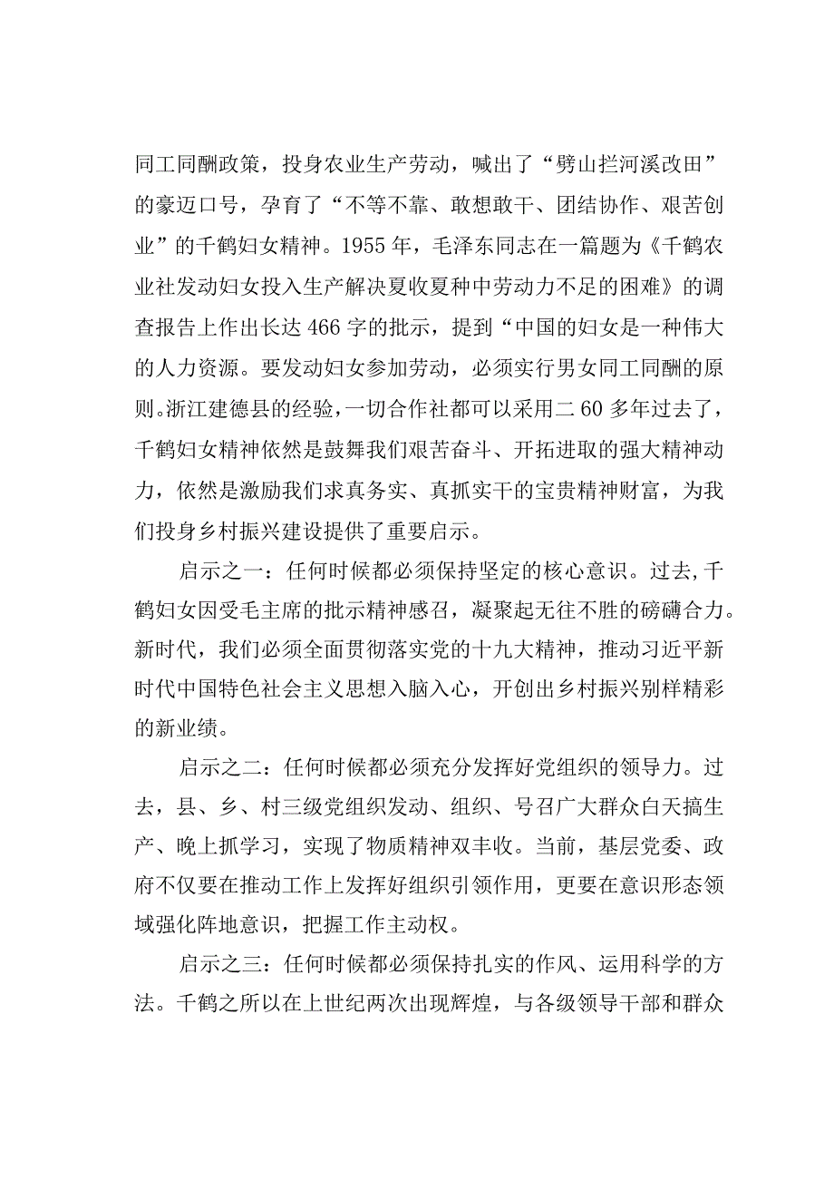 某某市某村蹲点调研报告：传承千鹤妇女精神助力实现乡村振兴.docx_第2页