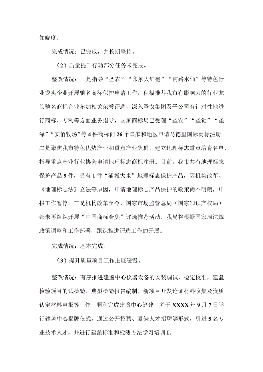 市场监督管理局党组关于巡察整改进展情况的报告.docx_第3页