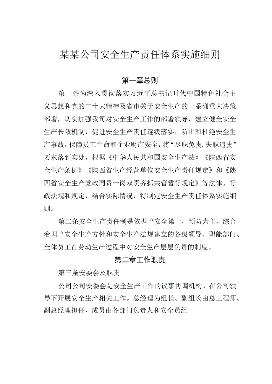 某某公司安全生产责任体系实施细则.docx_第1页