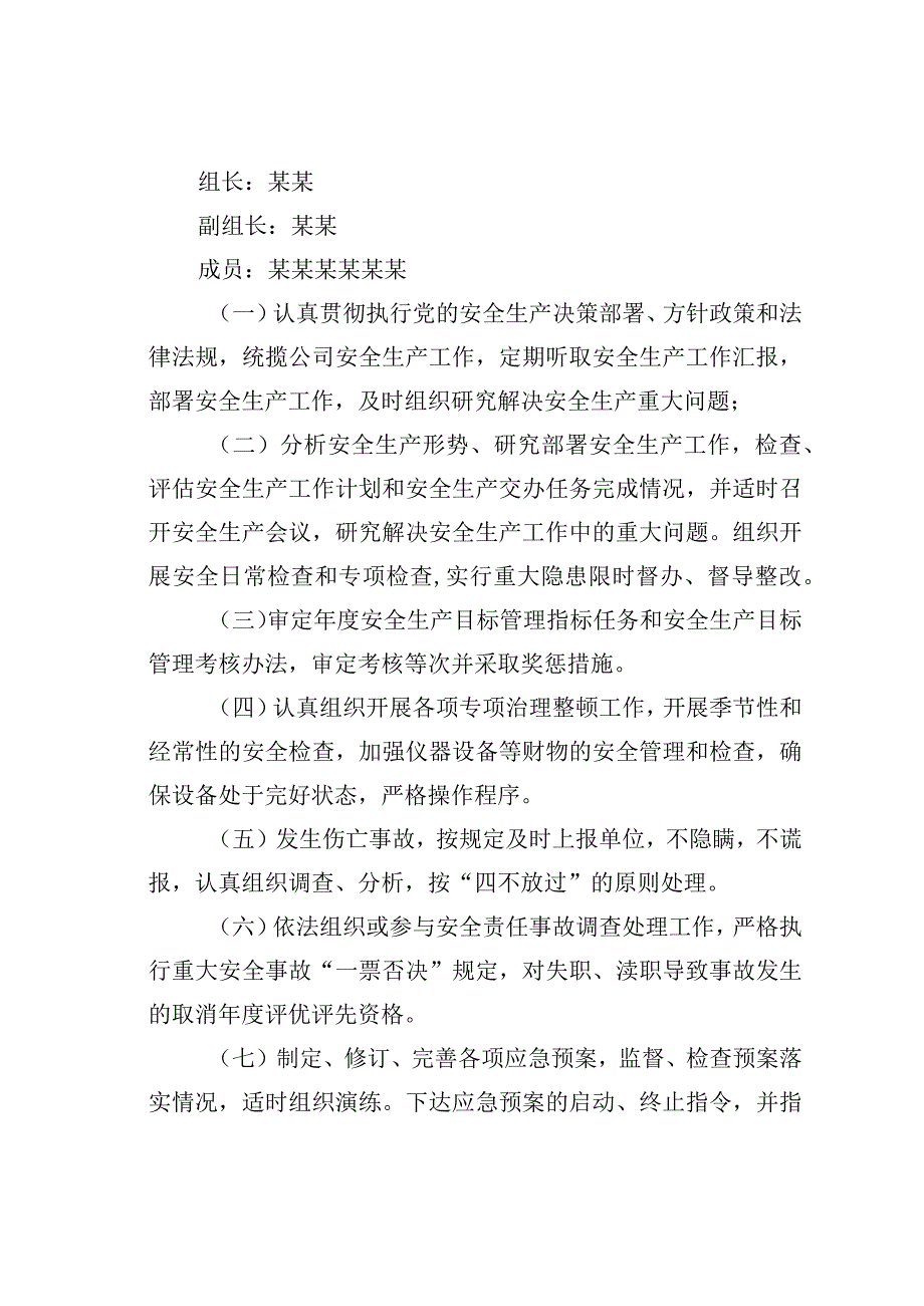 某某公司安全生产责任体系实施细则.docx_第2页