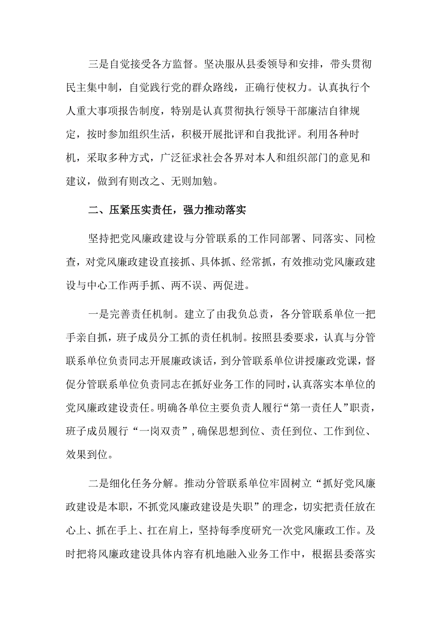 履行关于全面从严治党责任述职报告范文.docx_第2页