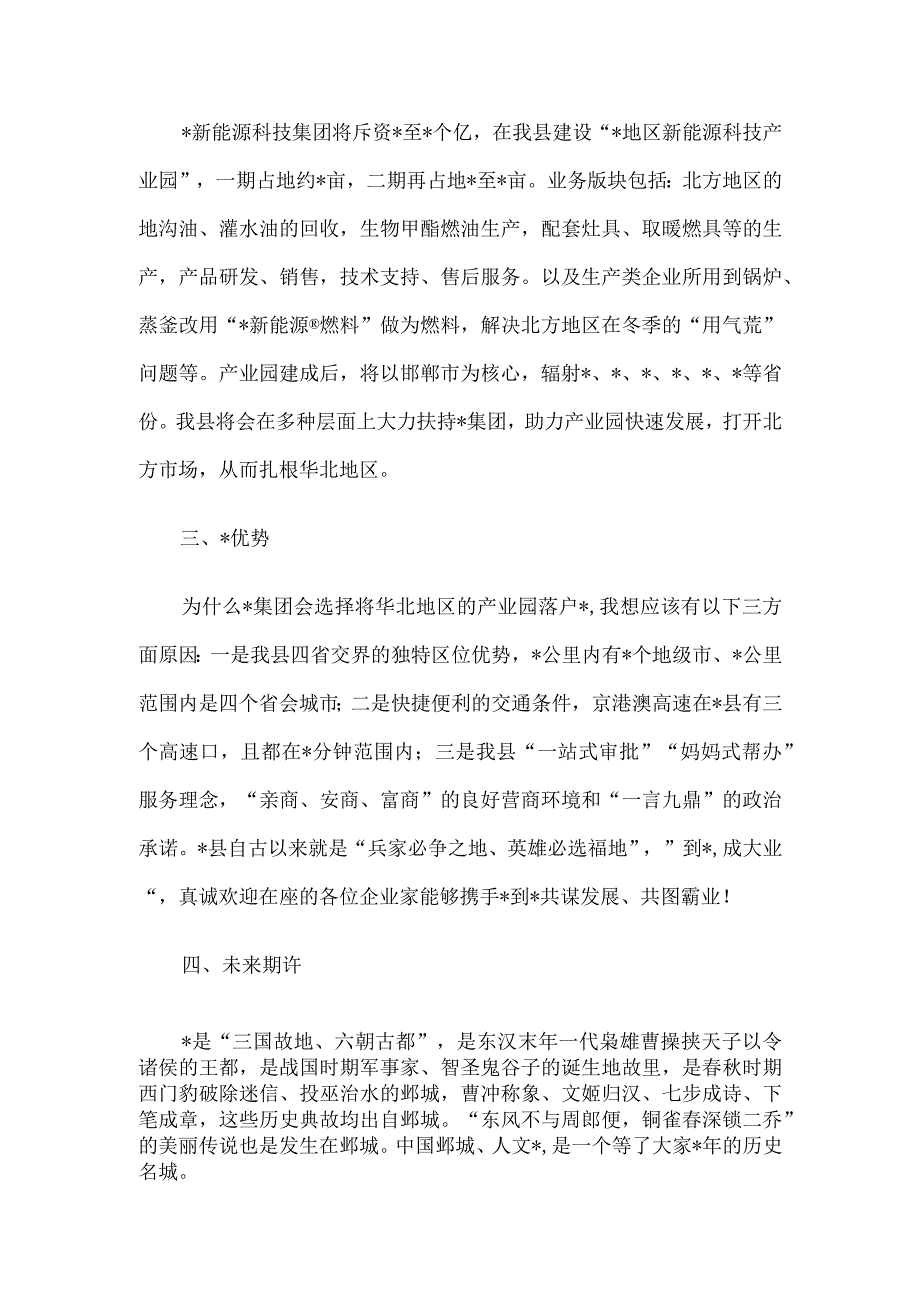 招商分局局长在集团新能源项目品鉴会上致辞.docx_第3页