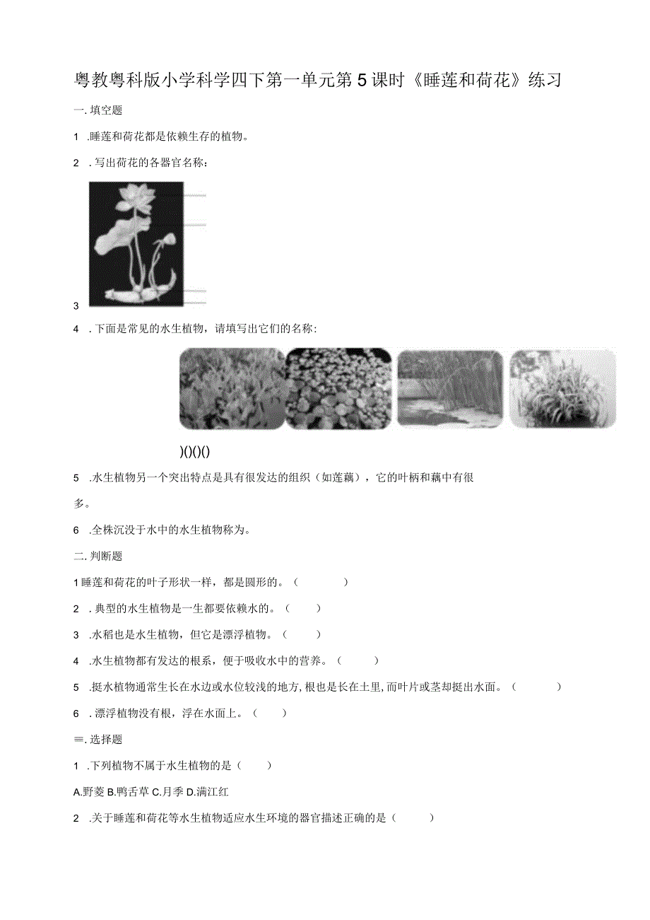 第05课时《睡莲和荷花》练习.docx_第1页