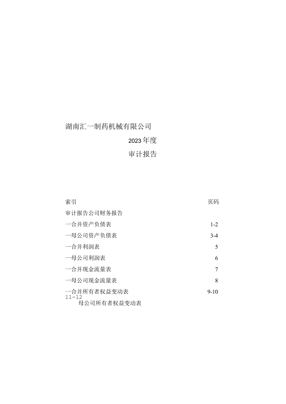 湖南汇一制药机械有限公司审计报告.docx_第1页