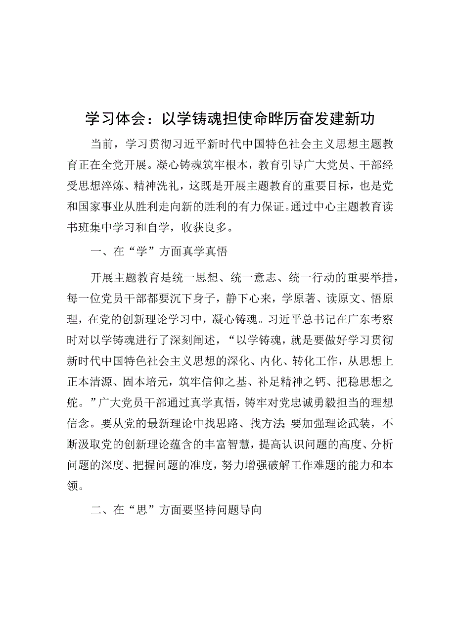 学习体会：以学铸魂担使命 踔厉奋发建新功.docx_第1页