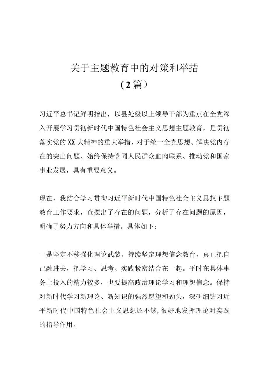 精选2篇关于主题教育中的对策和举措.docx_第1页