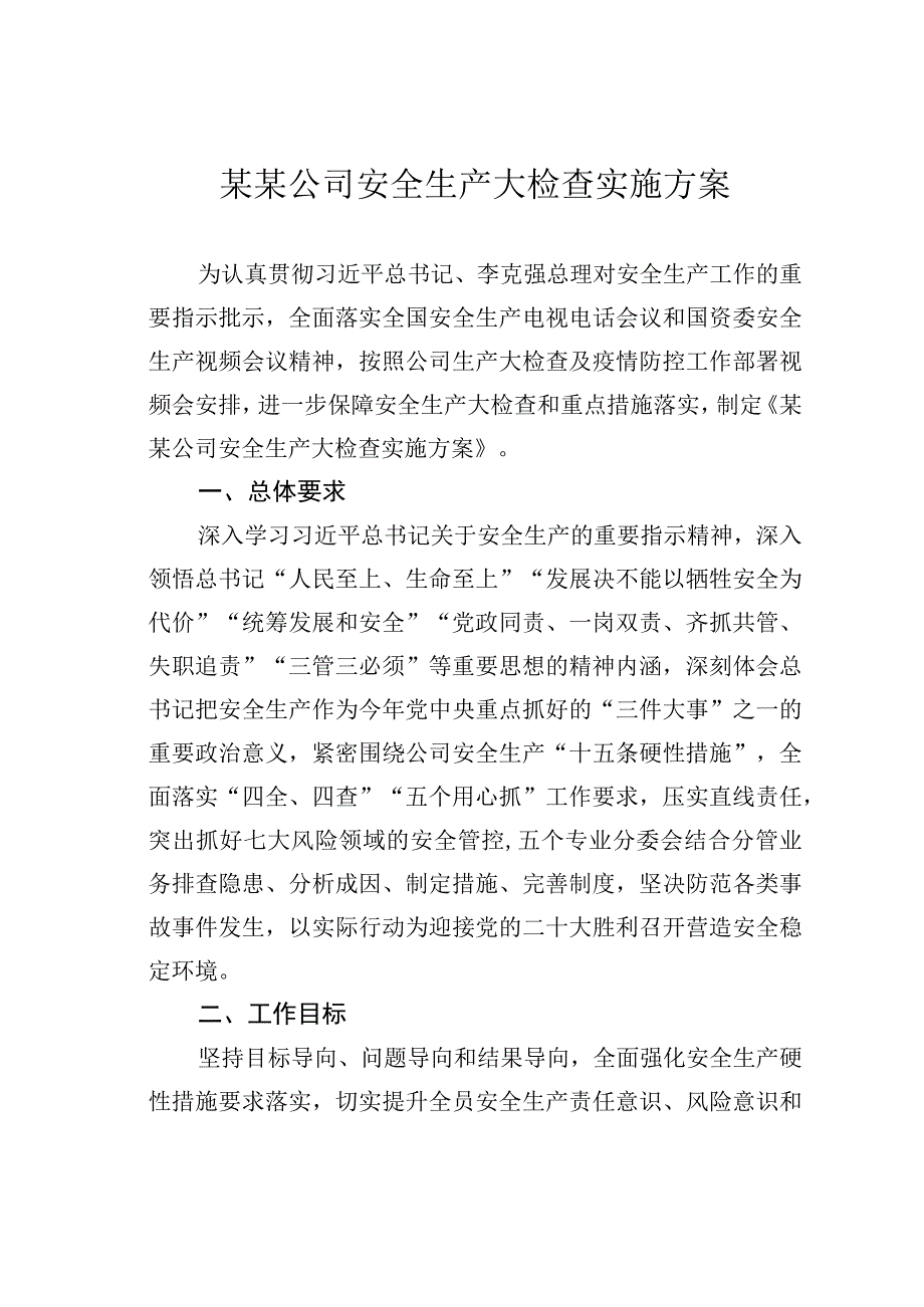 某某公司安全生产大检查实施方案.docx_第1页