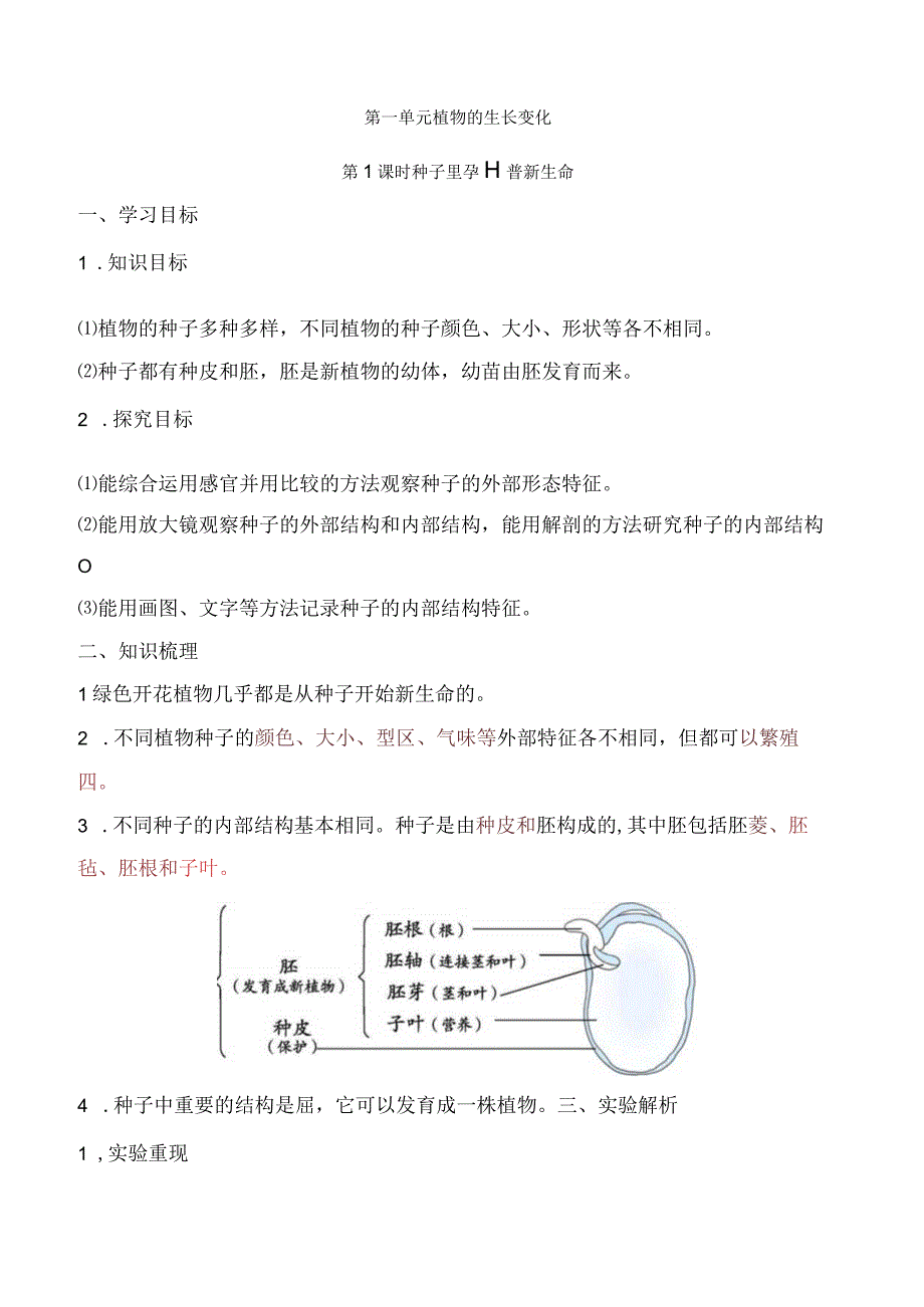 2023科教版科学四年级下学期第1课时 种子里孕育着新生命.docx_第1页