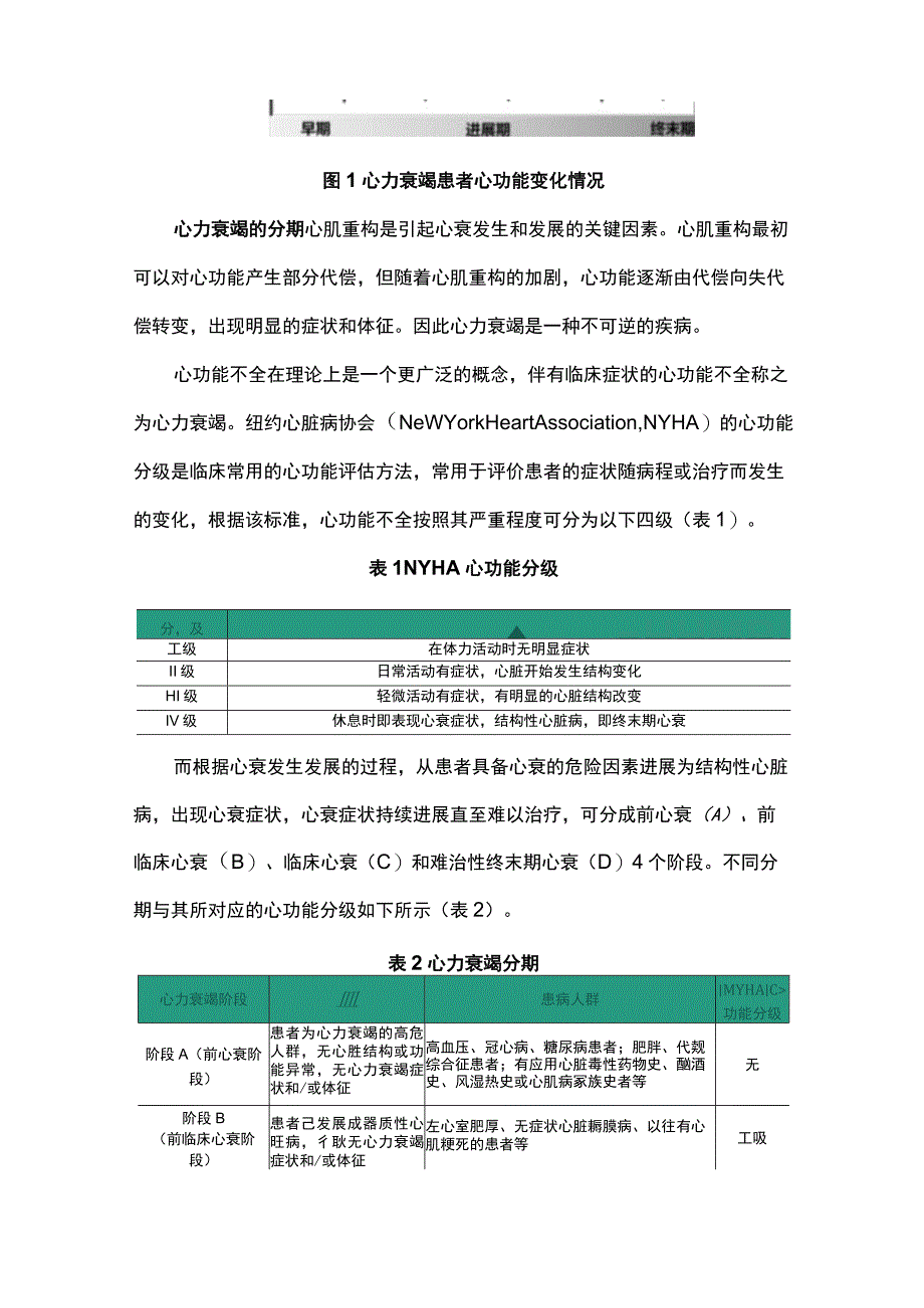 2023中国心衰行业白皮书第一部分.docx_第3页