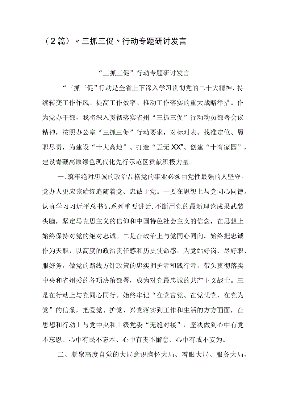 2篇三抓三促行动专题研讨发言.docx_第1页