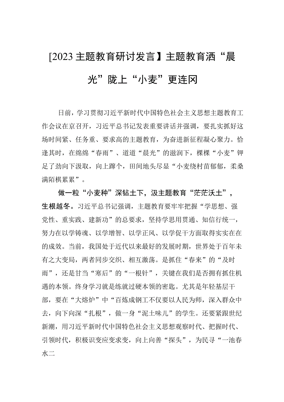 2023主题教育研讨发言主题教育洒晨光+陇上小麦更连冈.docx_第1页