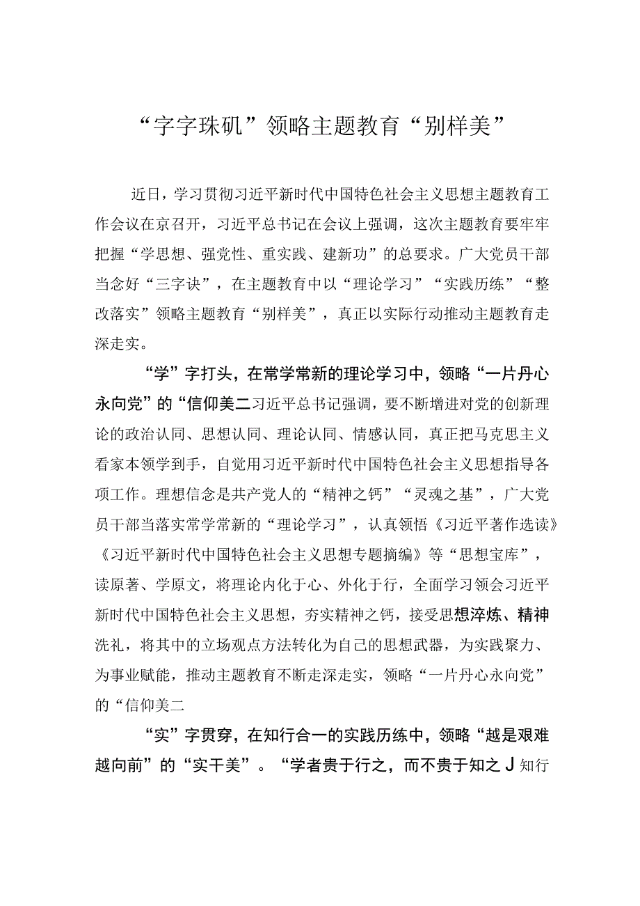 2023主题教育研讨发言字字珠玑领略主题教育别样美.docx_第1页