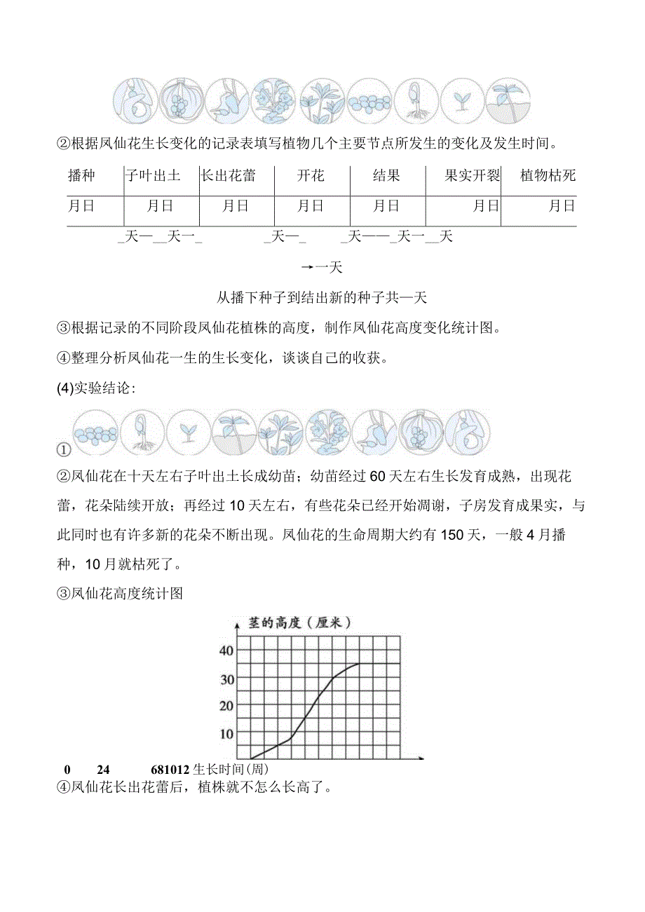 2023科教版科学四年级下学期第8课时 凤仙花的一生.docx_第3页