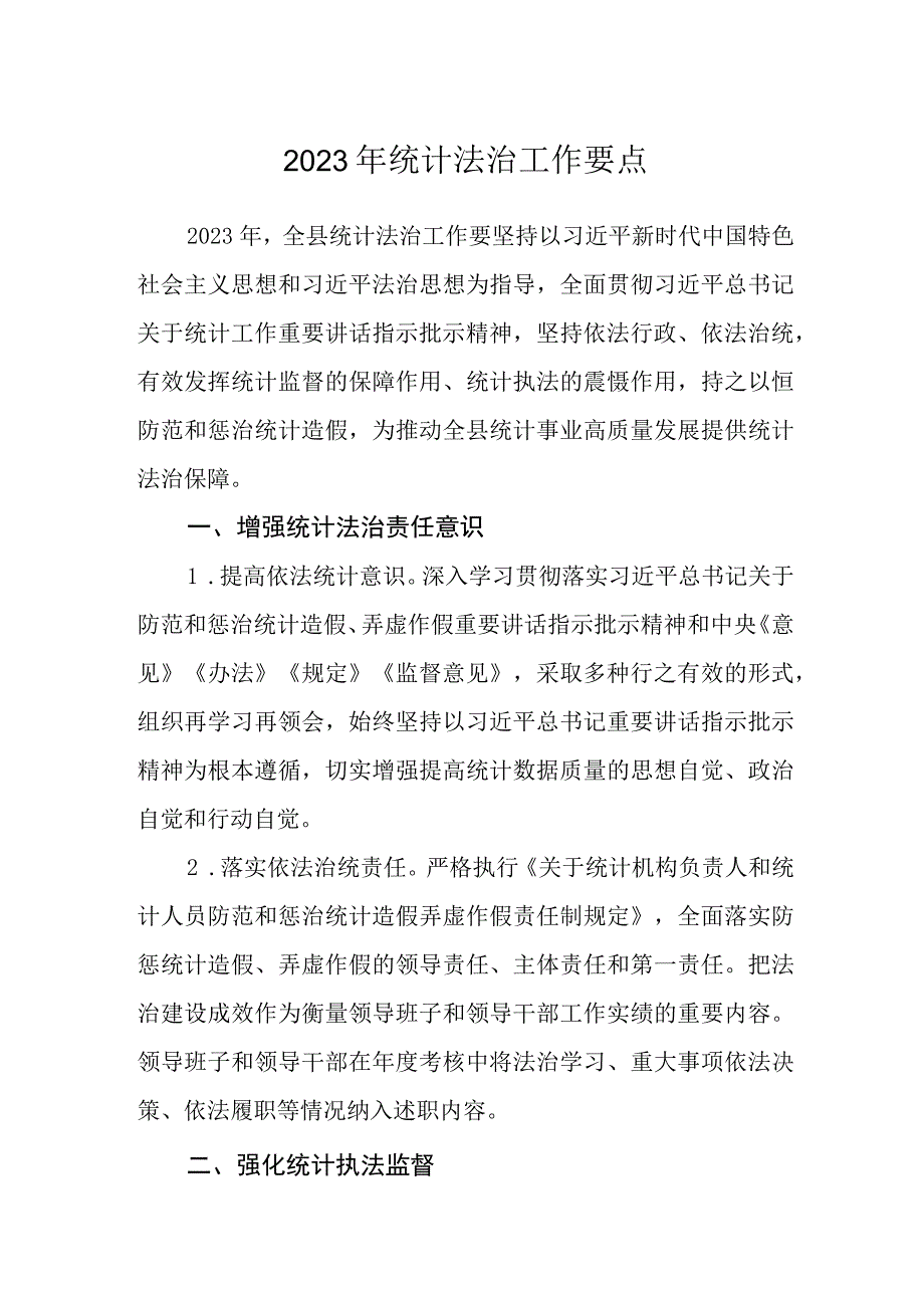 2023年统计法治工作要点.docx_第1页