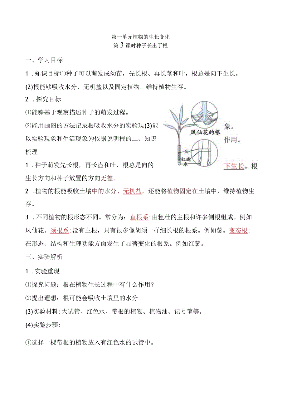 2023科教版科学四年级下学期第3课时 种子长出了根.docx_第1页