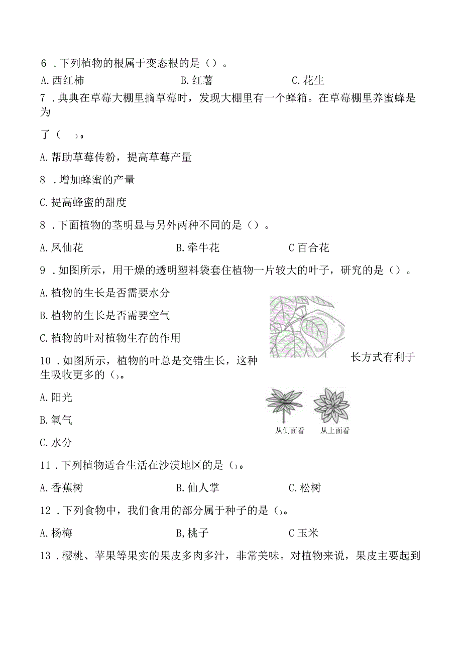 2023科教版科学四年级下学期第一单元 综合素质达标.docx_第2页