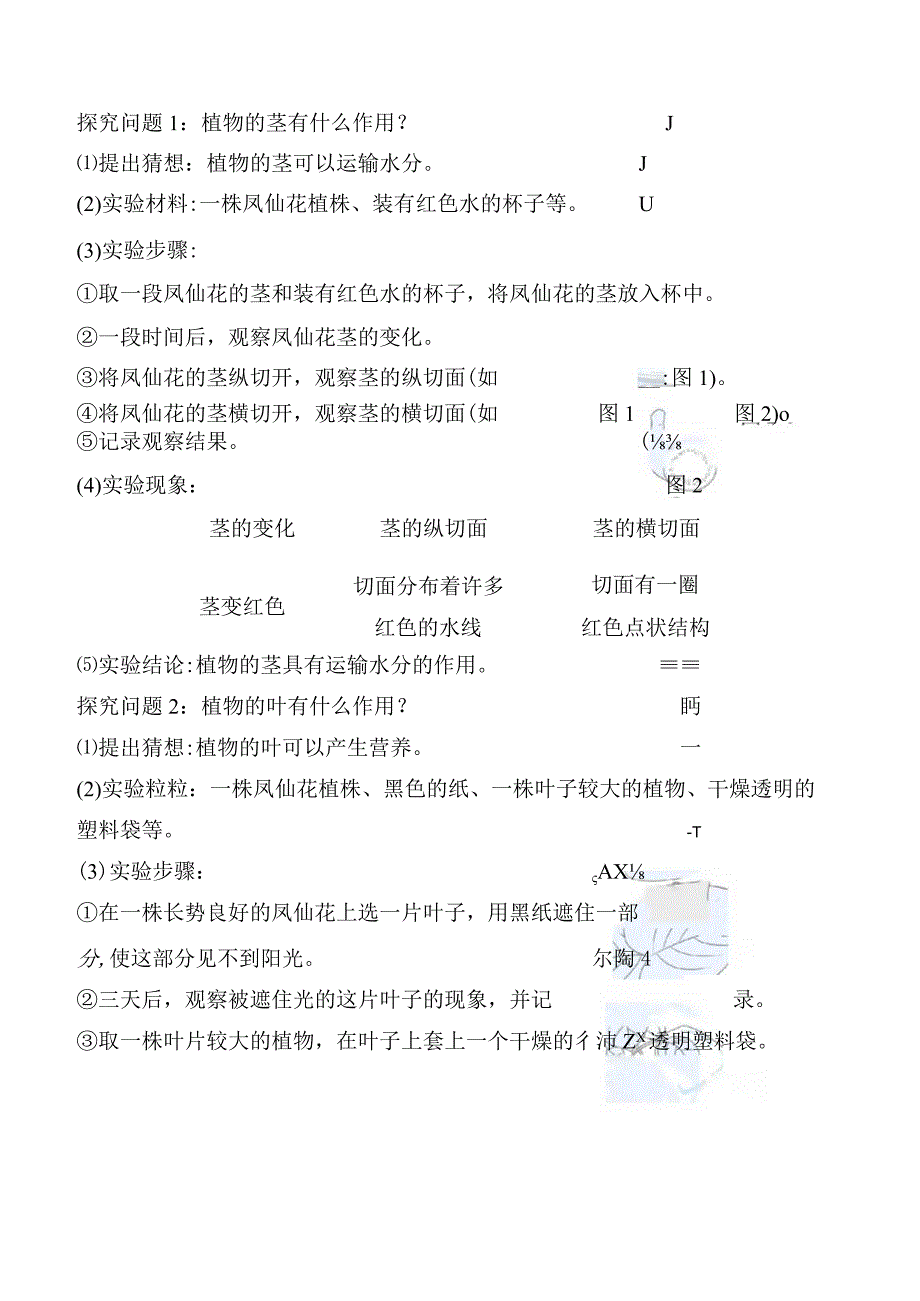 2023科教版科学四年级下学期第4课时 茎和叶.docx_第2页