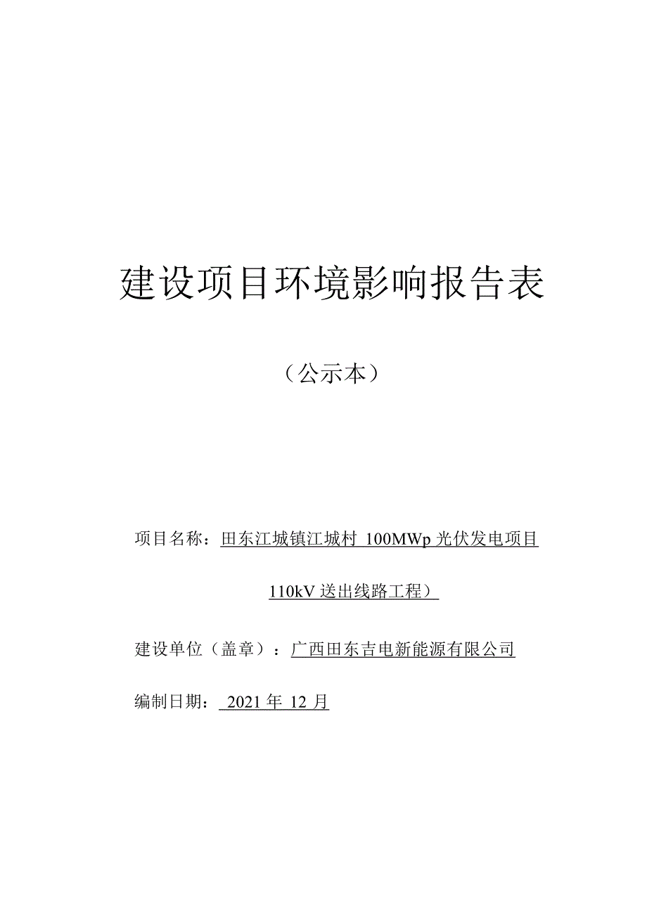 田东江城镇江城村100MWp光伏发电项目110kV送出线路工程环评报告.docx_第1页