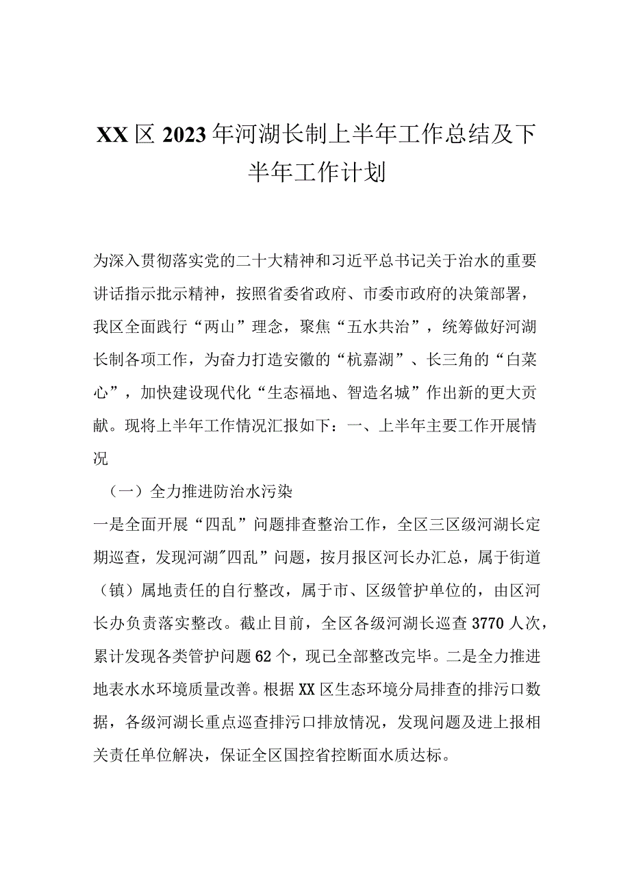 XX区2023年河湖长制上半年工作总结及下半年工作计划.docx_第1页