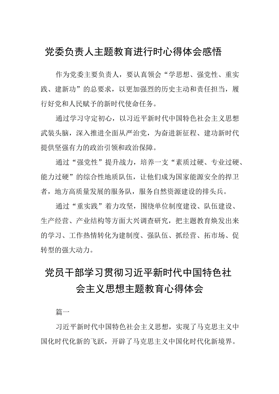 党委负责人主题教育进行时心得体会感悟精选3篇集合.docx_第1页