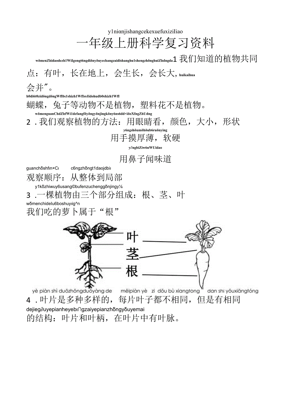 一年级上册科学教科版知识点复习资料素材.docx_第1页