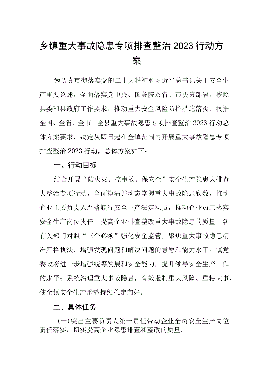 乡镇重大事故隐患专项排查整治2023行动方案.docx_第1页