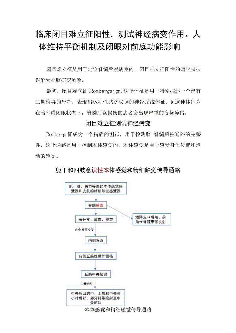 临床闭目难立征阳性测试神经病变作用人体维持平衡机制及闭眼对前庭功能影响.docx_第1页