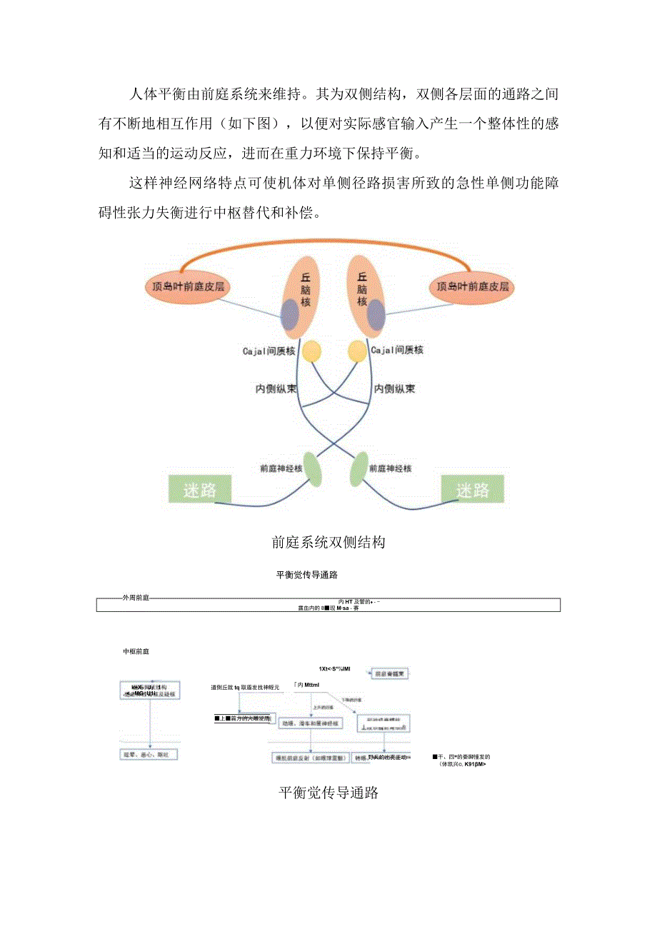 临床闭目难立征阳性测试神经病变作用人体维持平衡机制及闭眼对前庭功能影响.docx_第3页