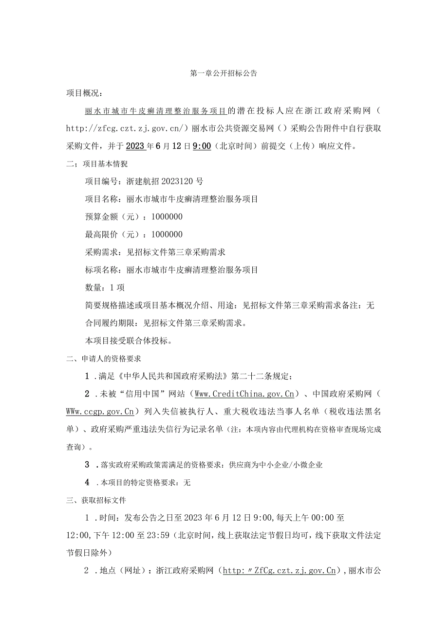 城市牛皮癣清理整治服务项目招标文件.docx_第3页