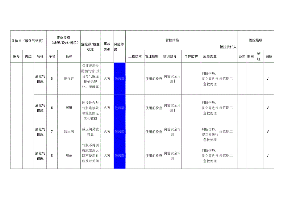 新材料科技有限公司液化气钢瓶安全风险分级管控清单.docx_第2页