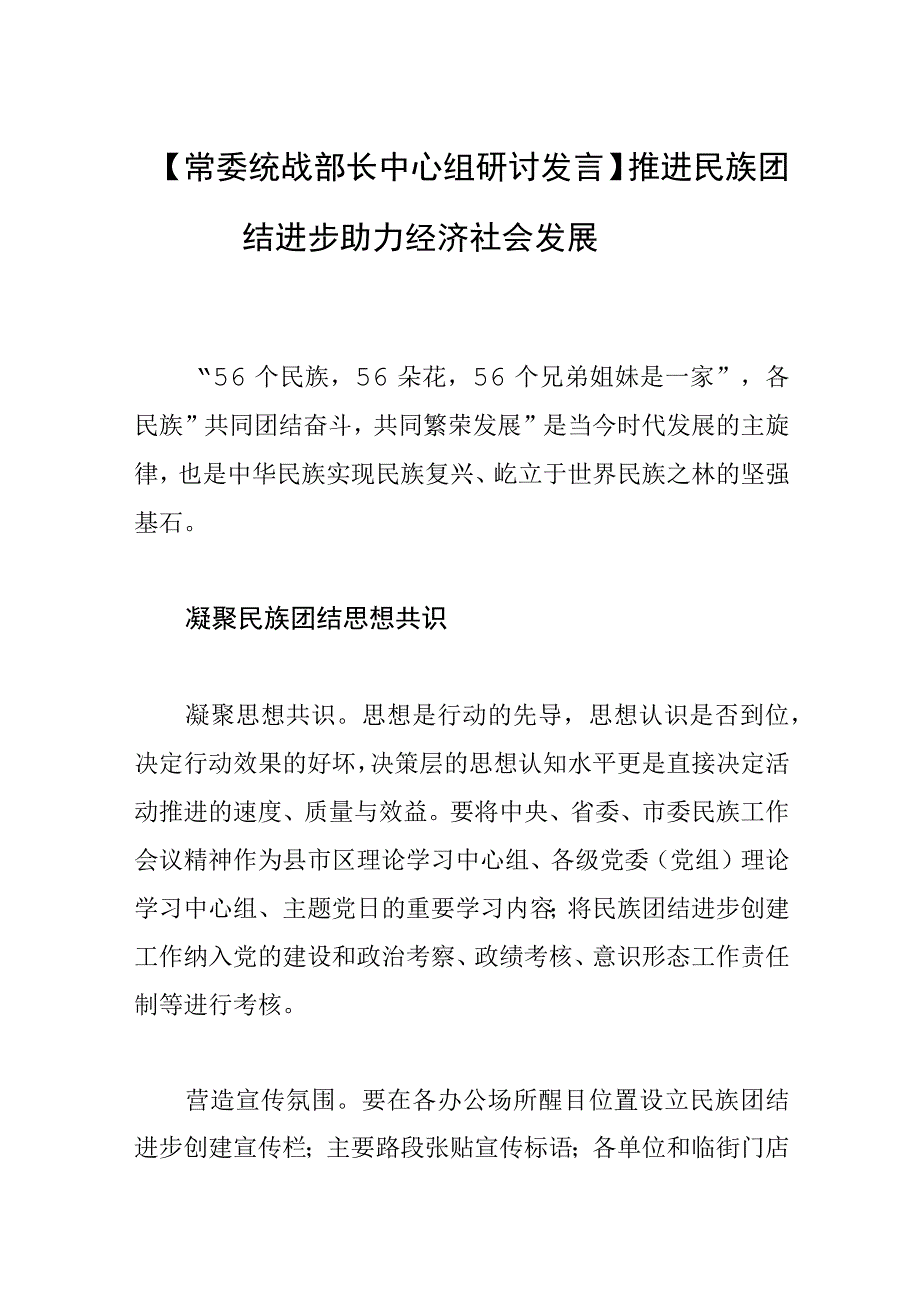 常委统战部长中心组研讨发言推进民族团结进步 助力经济社会发展.docx_第1页