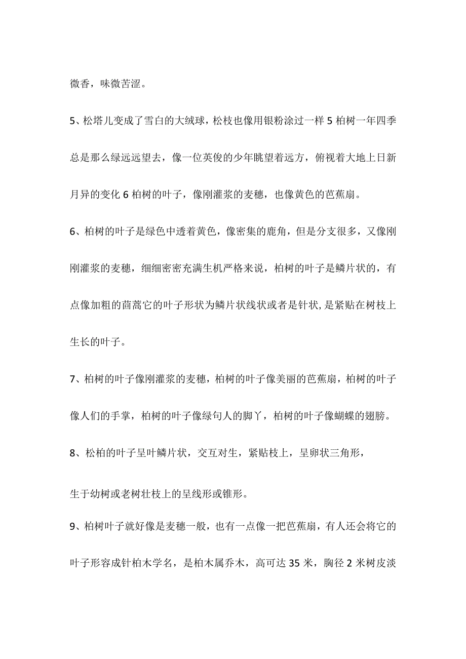 松柏的树叶长什么样子.docx_第2页