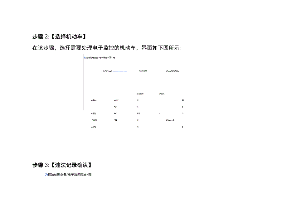 机动车违法记录电子监控处理操作流程.docx_第2页