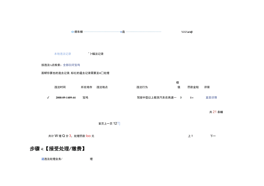 机动车违法记录电子监控处理操作流程.docx_第3页