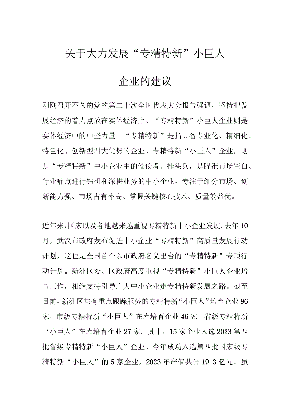 最新文档关于大力发展专精特新小巨人企业的建议.docx_第1页