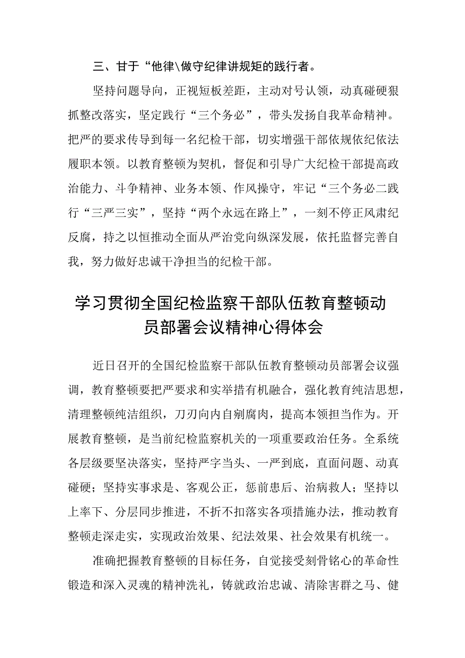 银行纪委书记开展纪检干部队伍教育整顿学习心得体会八篇精选供参考.docx_第2页