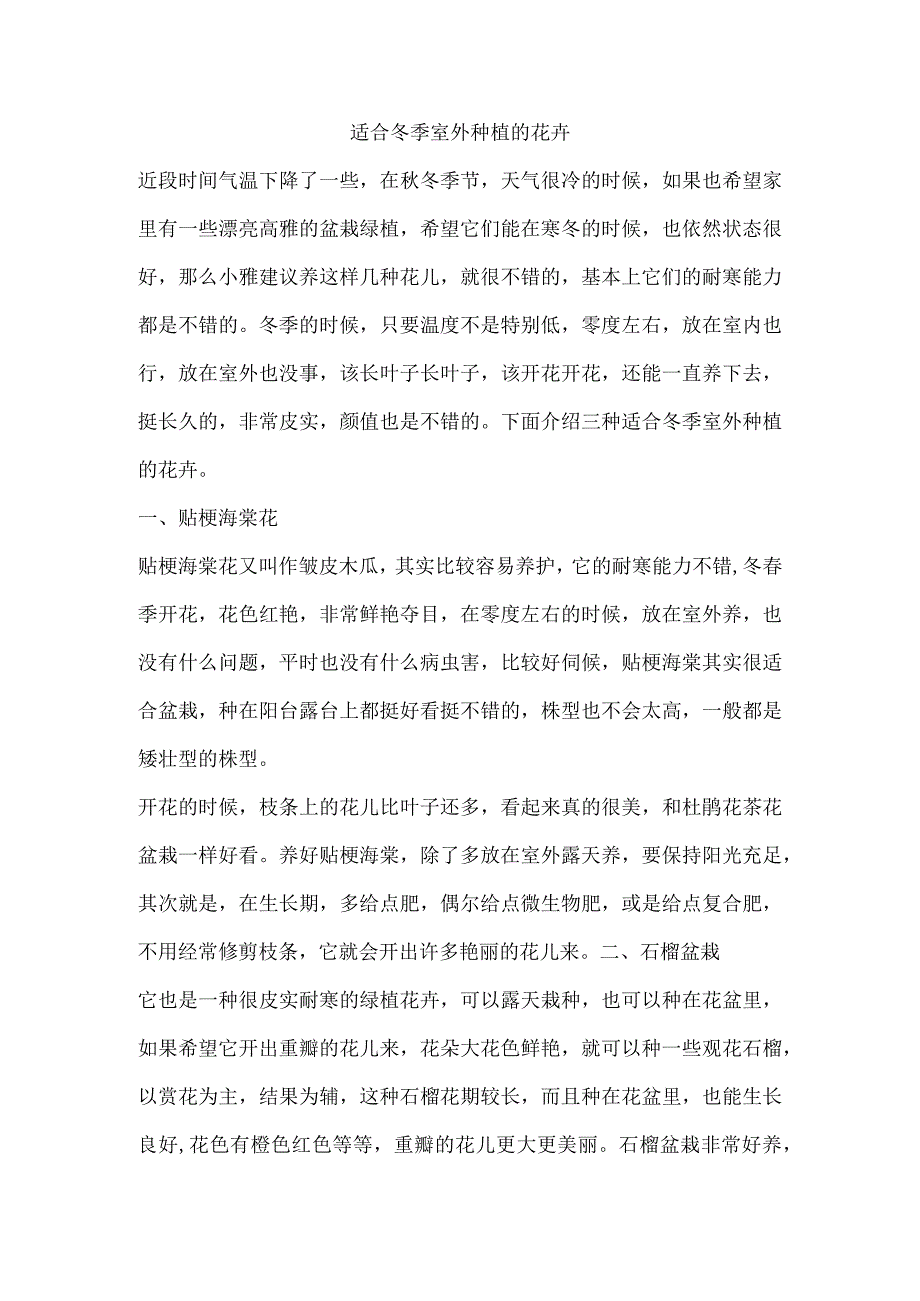 适合冬季室外种植的花卉.docx_第1页