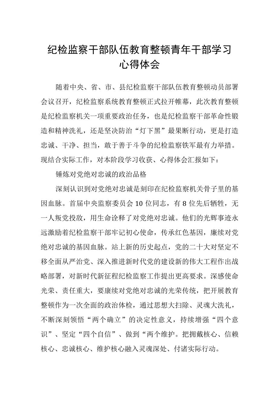 纪检监察干部队伍教育整顿青年干部学习心得体会八篇精选供参考.docx_第1页