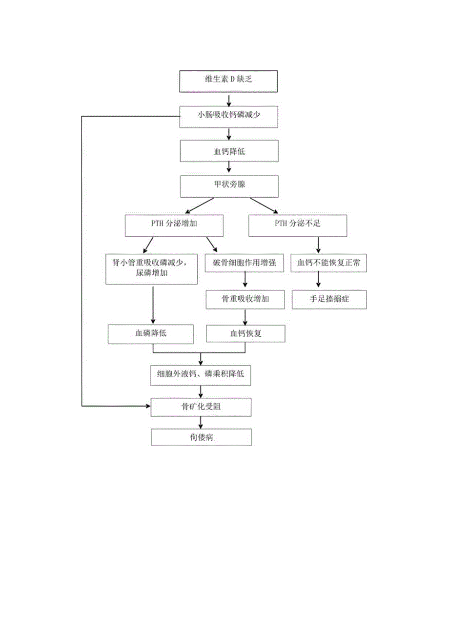 诊疗规范指南维生素D缺乏性佝偻病龙殿法修订装订打印印刷版儿童早期发展中心儿童保健科三甲医院.docx_第2页