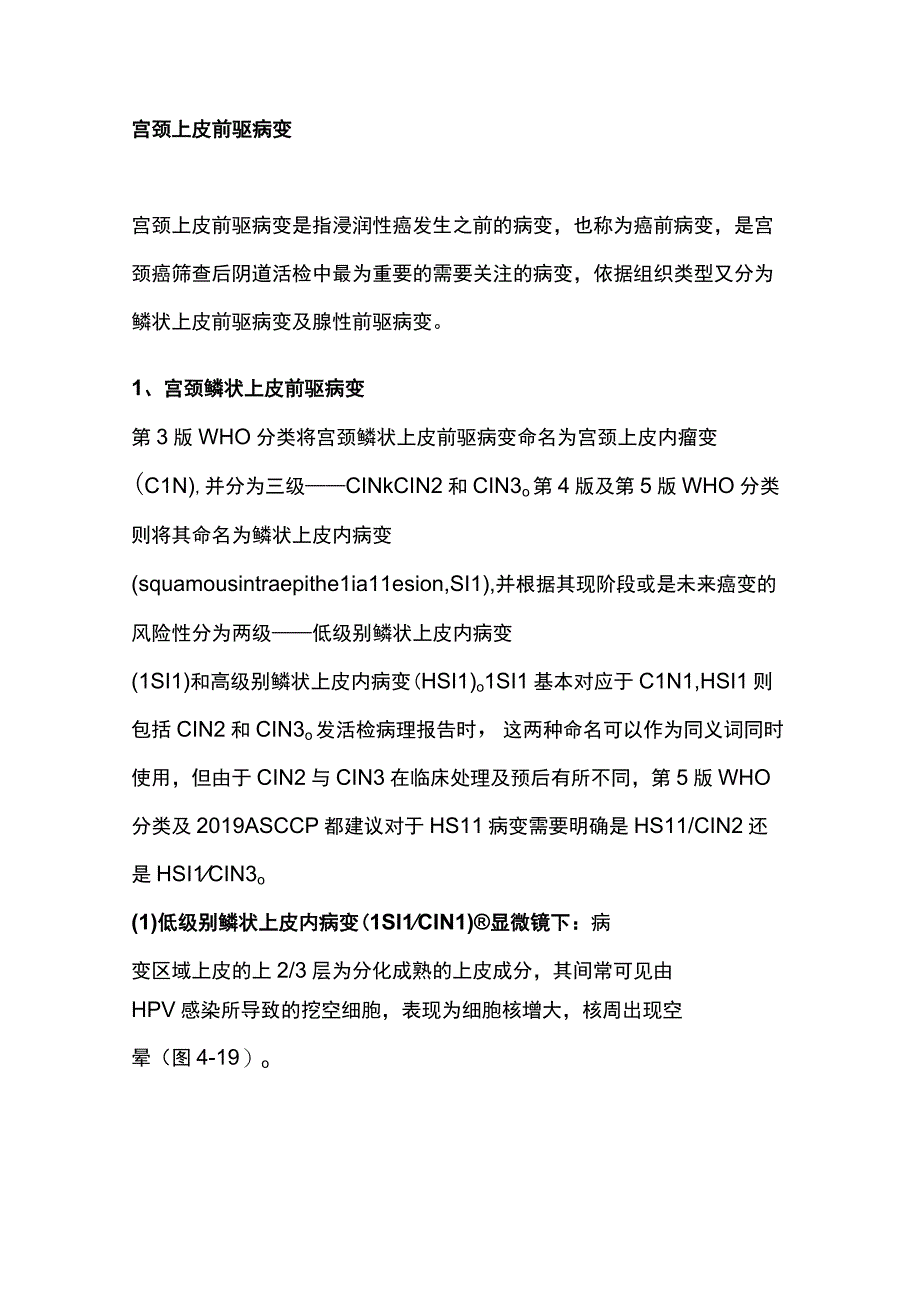 2023宫颈阴道镜检查后病理结果的解读.docx_第2页