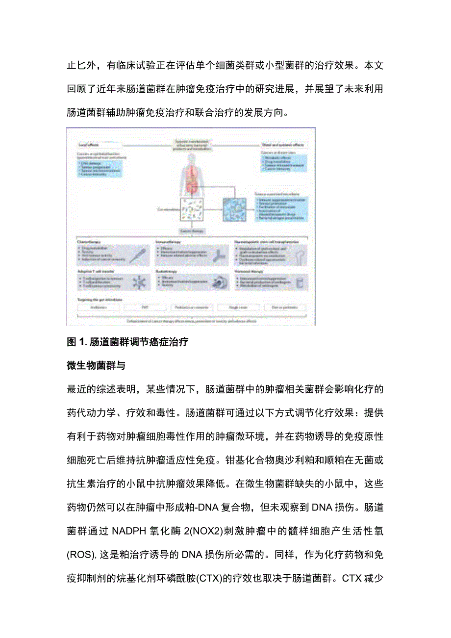 2023肿瘤治疗新靶点：肠道菌群.docx_第2页