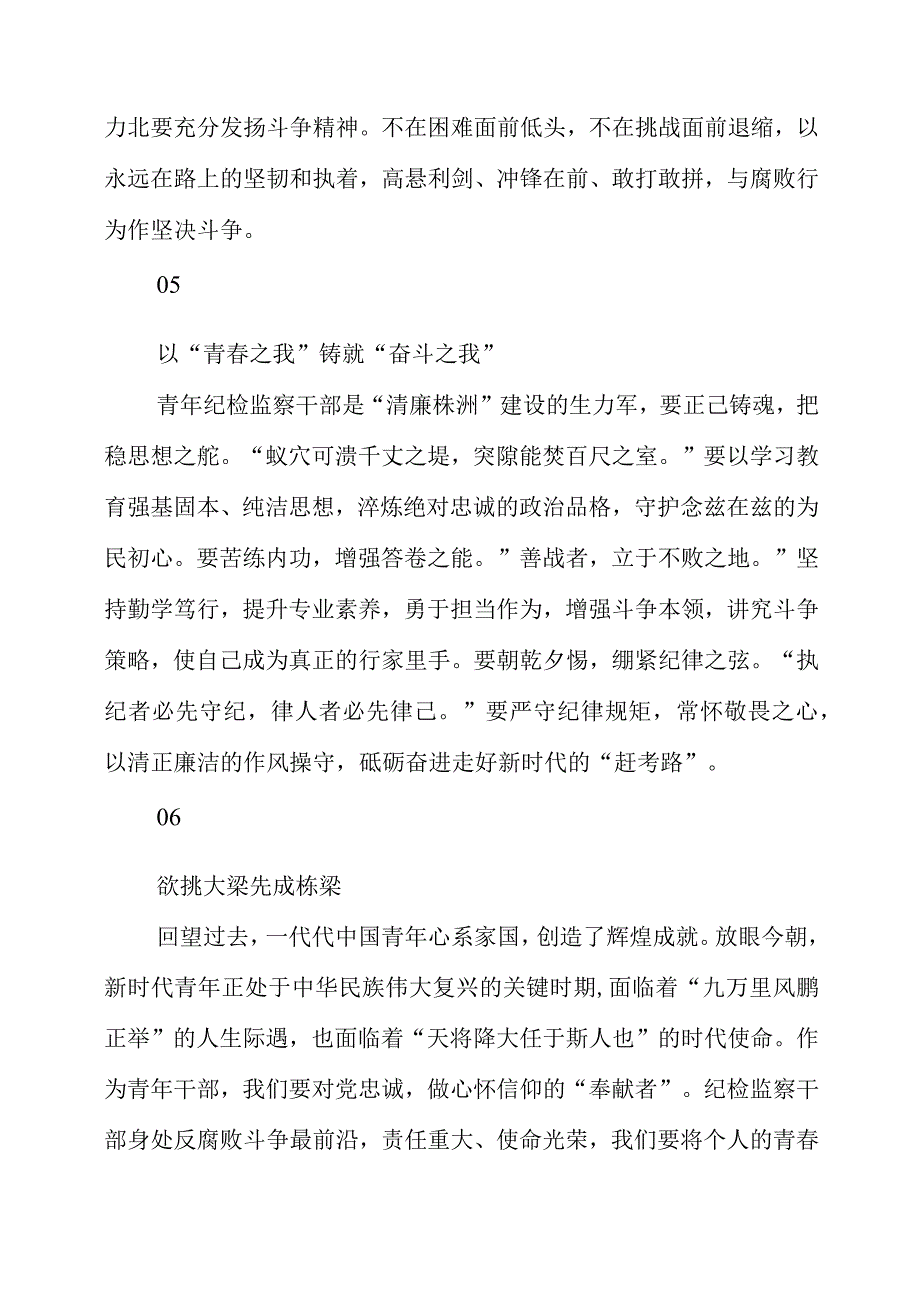 2023年纪检青年干部座谈会学习心得体会.docx_第3页