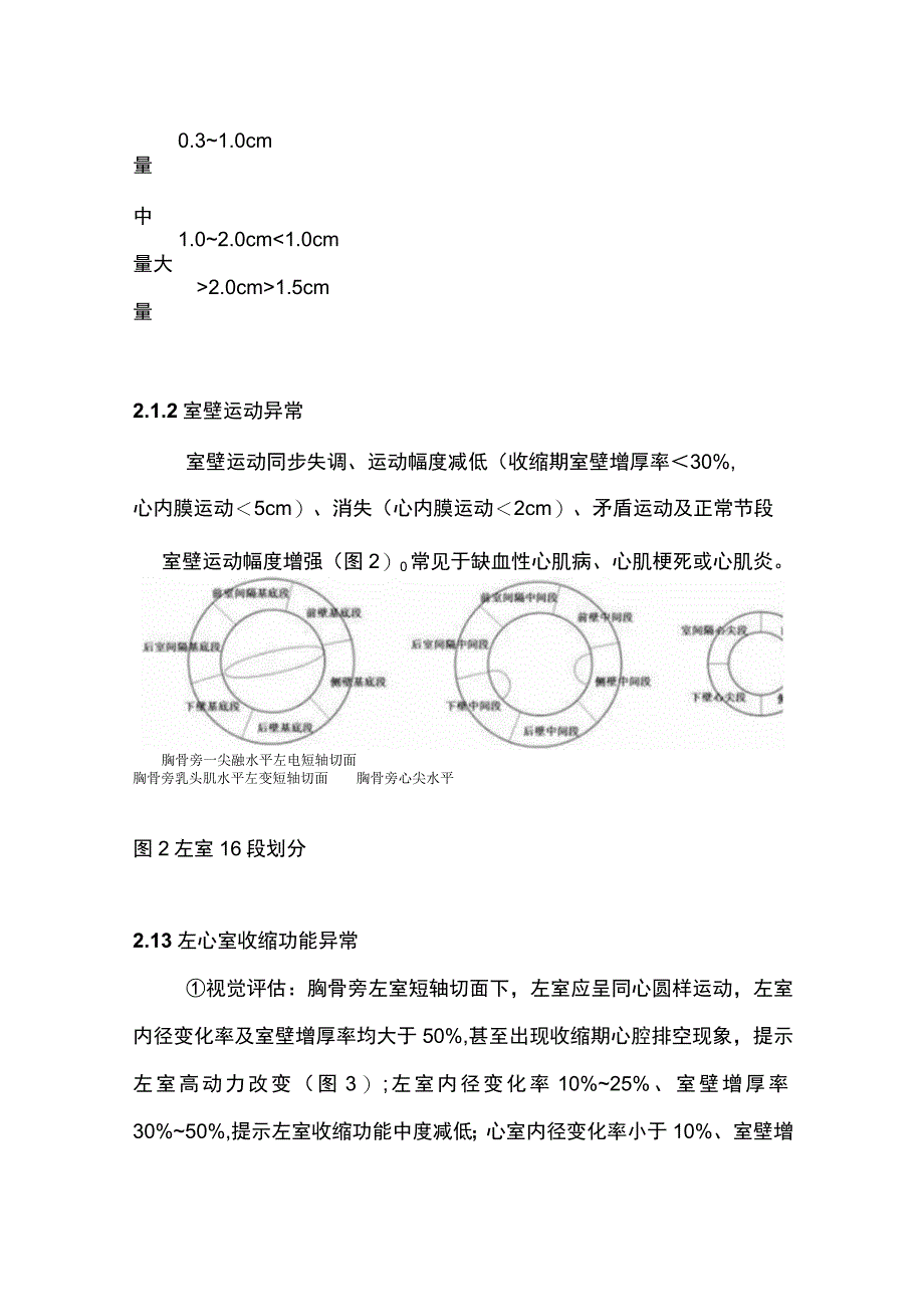 2023床旁超声在急危重症临床应用的专家共识完整版.docx_第3页